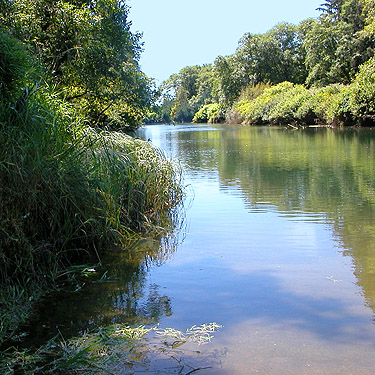 river downstream of Morley Boat Launch, lower Humptulips River, Grays Harbor County, Washington