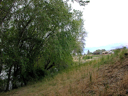 grassy slope at north end of Hydro Park, East Wenatchee, Douglas County, Washington