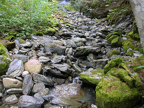 cobbles in rocky stream bed, Upper Hilt Creek Falls, SE of Rockport, Skagit County, Washington