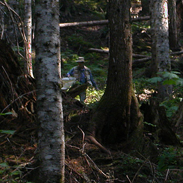 Laurel Ramseyer sweeping in forest, Illabot Peaks Road, SE of Rockport, Skagit County, Washington