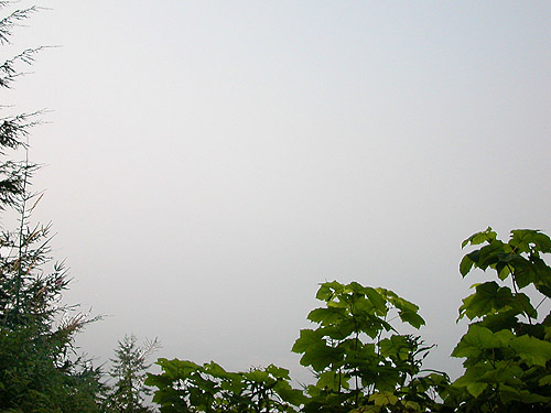 non-view through smoky air, Illabot Creek Road, SE of Rockport, Skagit County, Washington