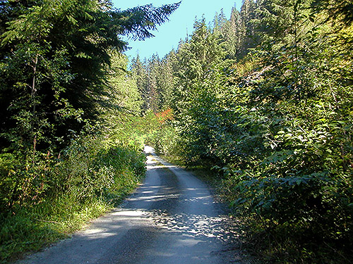 daytime roadside, Iron Creek at FS Road 16, Skagit County, Washington