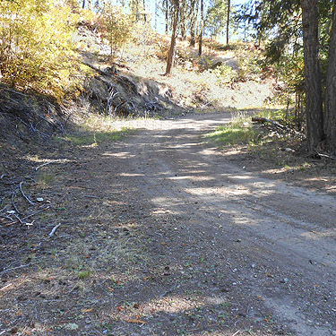 bend in Road 100 on First Thought Mountain, Stevens County,, Washington