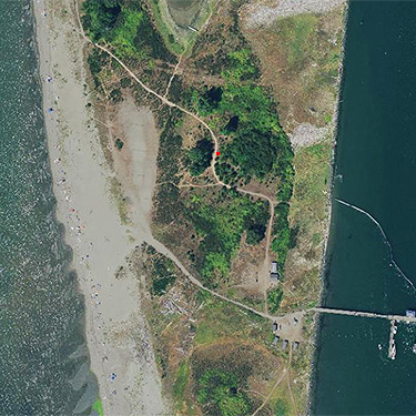 2018 aerial photo of Jetty Island, Everett, Washington showing pine grove site