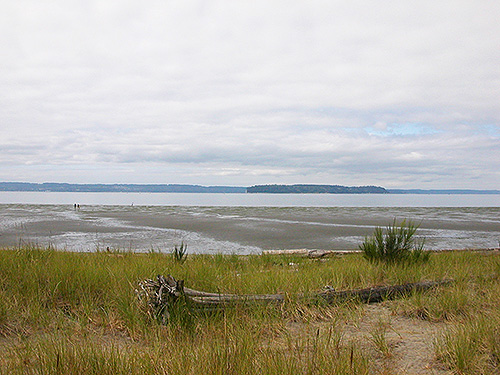 shore scene, Jetty Island, Everett, Washington