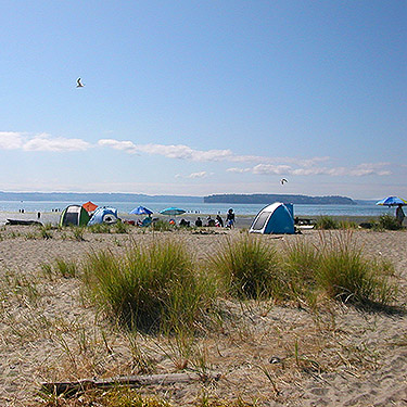 popular beach, Jetty Island, Everett, Washington