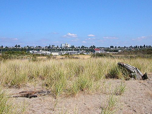 Everett seen looking east across Jetty Island, Everett, Washington