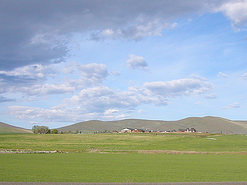 flat farmland viewed from WPA Road, Badger Pocket, Kittitas County, Washington