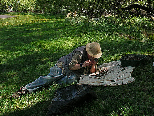 Rod Crawford sifting leaf litter, Cooke Creek at John Wayne Trail, SW corner of Kittitas, Washington