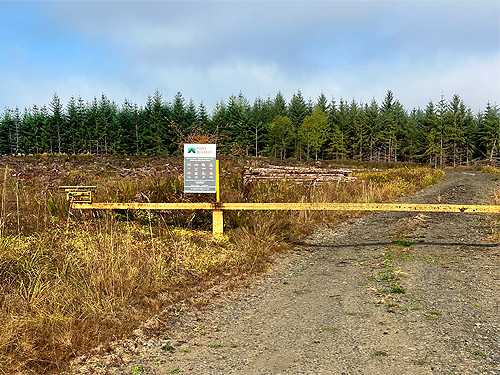 Blakely Tree Farms gate into 2021 clearcut, Michigan Hill, Thurston County, Washington