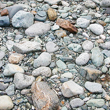 cobbles on gravel bar, Bacon Creek delta area, Skagit County, Washington