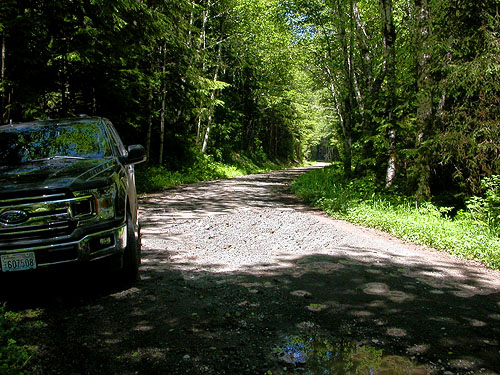road crossing the outlet stream of Little Eagle Lake, Green River Watershed, King County, Washington