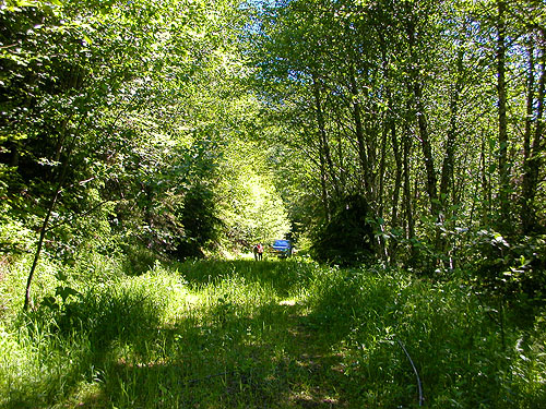 road around Little Eagle Lake, Green River Watershed, King County, Washington