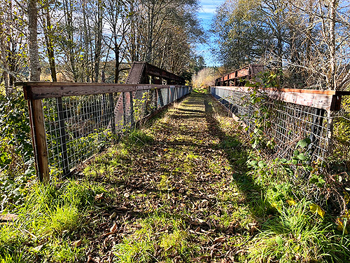 trail bridge over Willapa River near Maple Hill Cemetery, Lebam, Pacific County, Washington