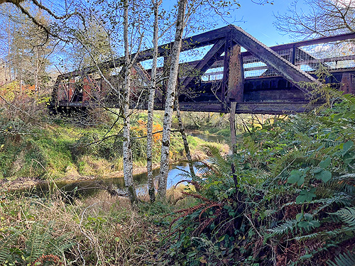 river and riparian habitats below bridge, near Maple Hill Cemetery, Lebam, Pacific County, Washington