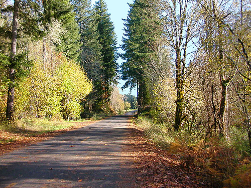 Robinson Road, S edge of Maple Hill Cemetery, Lebam, Pacific County, Washington