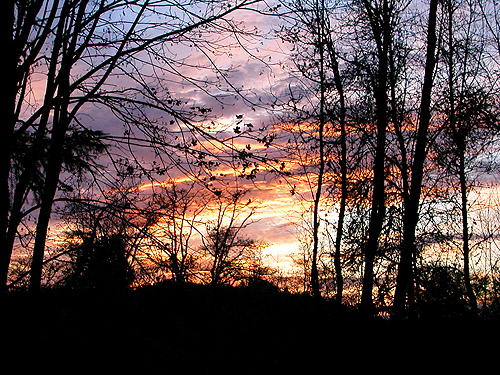 earlier stage of sunset on 7 Nov 2024, Maple Hill Cemetery, Lebam, Pacific County, Washington