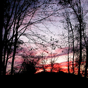 late stage of sunset on 7 Nov 2024, Maple Hill Cemetery, Lebam, Pacific County, Washington