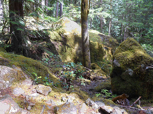 big rocks in our field site, Lena Creek Trail, Olympic Mountains, Washington
