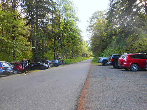 cars at trailhead, Lena Creek Trail, Olympic Mountains, Washington