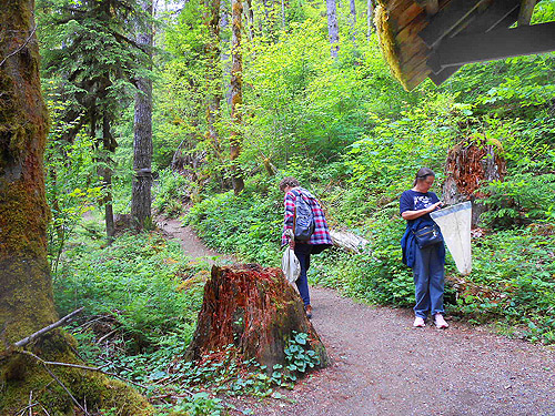 Sage Osterman & Kathy Whaley on Lena Creek Trail, Olympic Mountains, Washington
