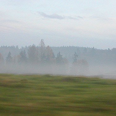 ground fog along Independence Road, Thurston County, Washington