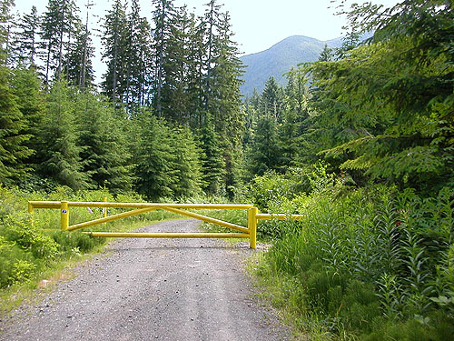gated road, spider site near Lords Lake, Jefferson County, Washington
