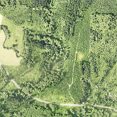 2021 aerial photo of Chehalis Timber property on Black Creek Road, Grays Harbor County, Washington
