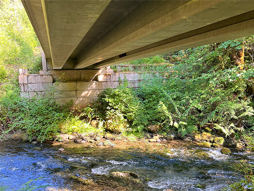 understructure of bridge, upper Lyre River, Clallam County, Washington