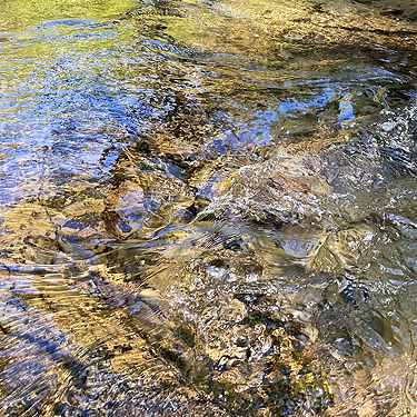 surface of upper Lyre River, Clallam County, Washington