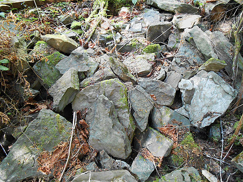 pile of rocks in forest, Upper Lyre River, Clallam County, Washington