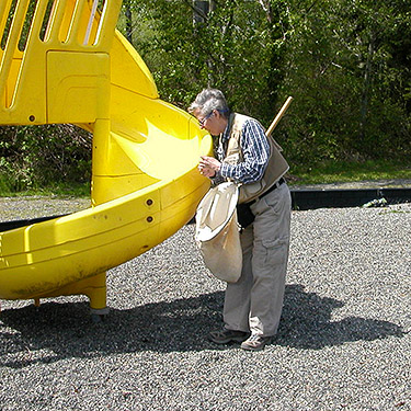 Laurel Ramseyer in playground, Marietta Veterans Park, Marietta, Whatcom County, Washington