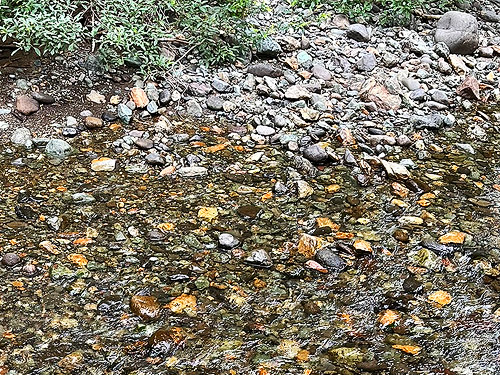 stream cobbles, near Marten Lake Creek, Whatcom County, Washington