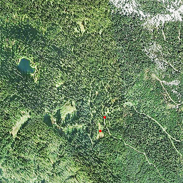 2022 aerial photo of Marten Lake area, Whatcom County, Washington with 2024 spider sites