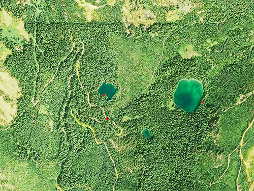 aerial photo of Meadow Pass and vicinity, Washington