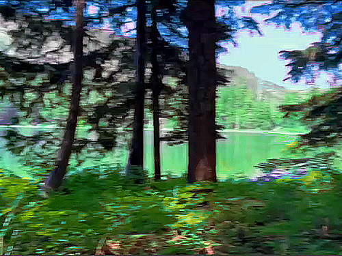 Stirrup Lake through the trees near Meadow Pass, Washington