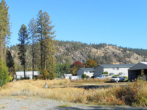 Kathy Whaley in grass field, Meyers Falls Cemetery, Kettle Falls, Washington
