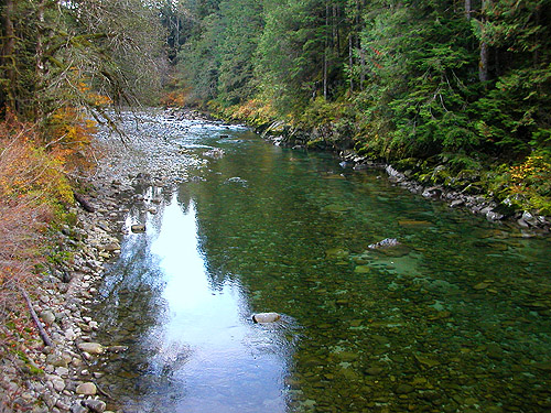 Middle Fork Snoqualmie River upstream from suspension bridge, Middle Fork Trailhead, King County, Washington