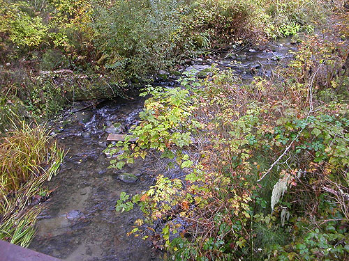 unnamed tributary, Middle Fork Snoqualmie River, King County, Washington