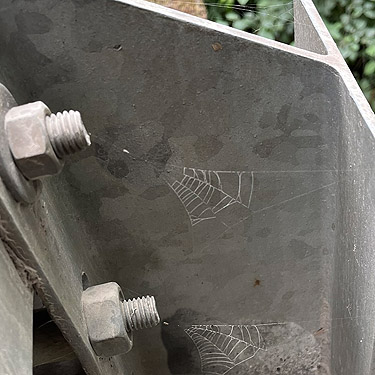 Hyptiotes spider webs on bridge over North Fork, Mineral Park Campground, Cascade River, Skagit County, Washington