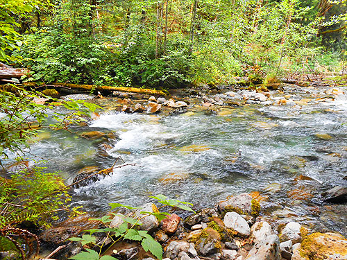 Cascade River below Mineral Park Campground, Cascade River, Skagit County, Washington
