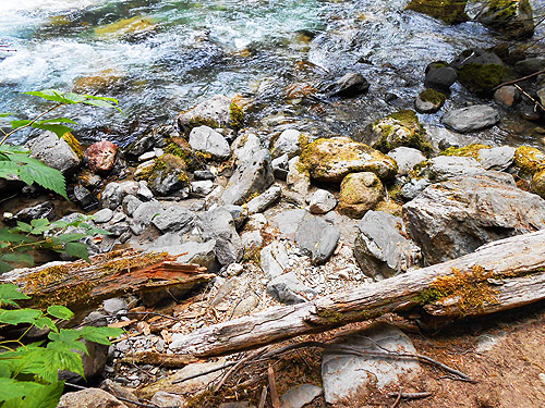 rocky shoreline of river, Mineral Park Campground, Cascade River, Skagit County, Washington