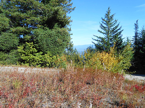 patchwork of habitata on Monumental Mountain, Stevens County, Washington