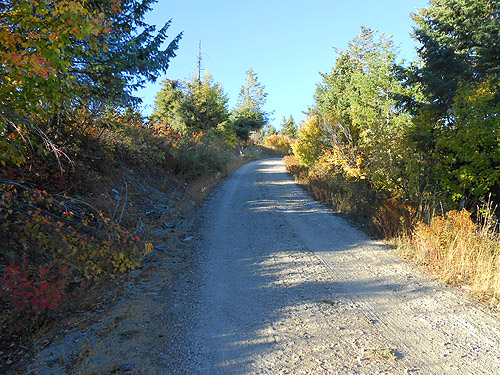 main ridge road, Monumental Mountain, Stevens County, Washington