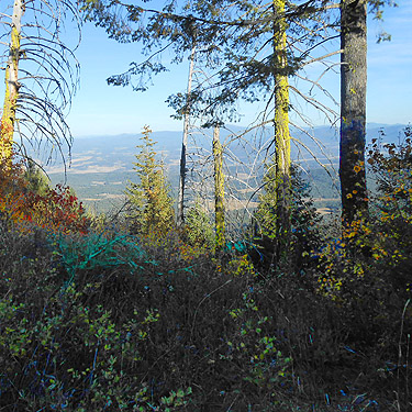 view to the east from Monumental Mountain, Stevens County, Washington