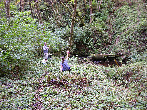 Laurel and Kathy in bottom of ravine of Mooney Creek, Grays Harbor County, Washington