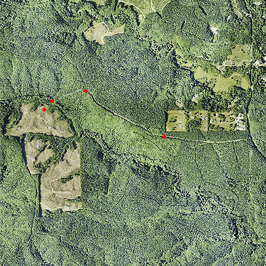 Mooney Creek area, Grays Harbor County, Washington, 2023 aerial photo