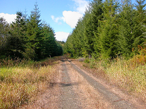 Mooney Creek Road, Grays Harbor County, Washington