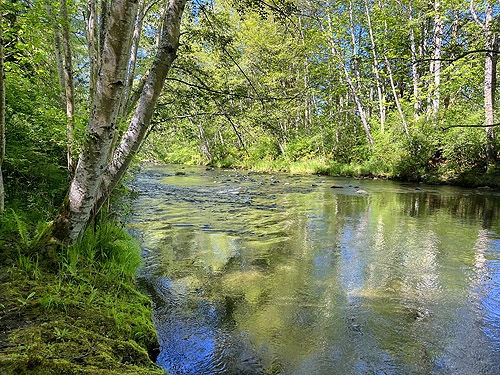 Morse Creek east of Port Angeles, Clallam County, Washington