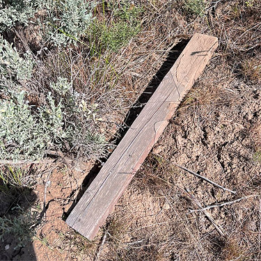 board on ground, sagebrush tract on Naches-Wenas Road, Yakima County, Washington